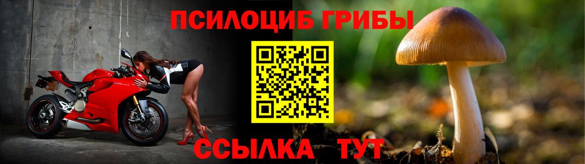 Лениногорск  Галлюциногенные грибы мухоморы  Вход с VPN  Галлюциногенные грибы мицелий 